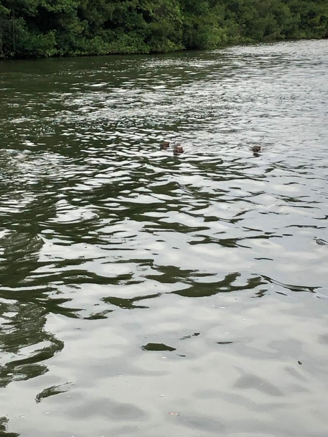 Paraiso Na Ilha Da Gigoia Rio de Janeiro Buitenkant foto